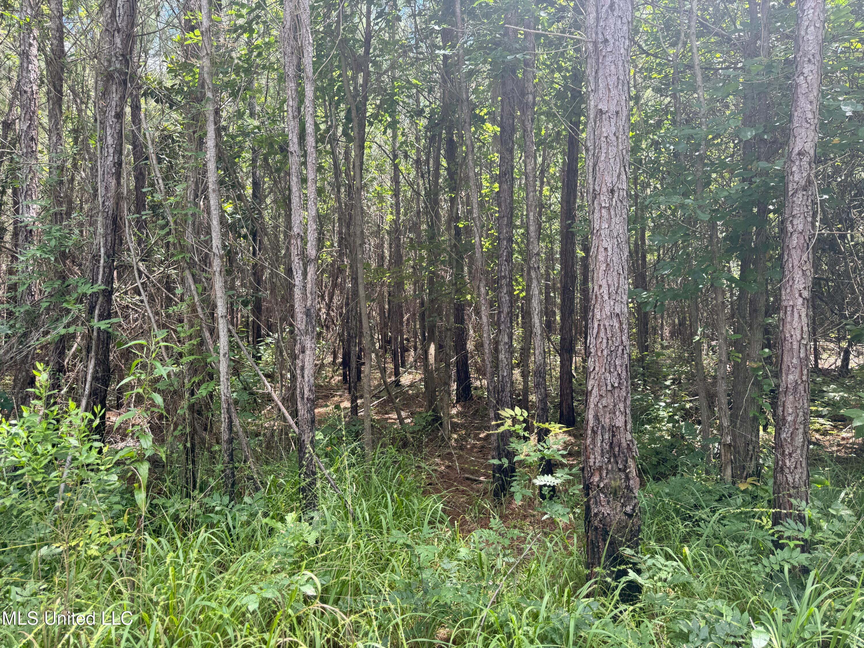 Beltline Drive Brookhaven, MS 39601 - Photo 5 of 26 IMG_5010