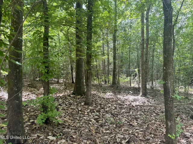 $547,200 | Beltline Drive, Brookhaven, MS 39601