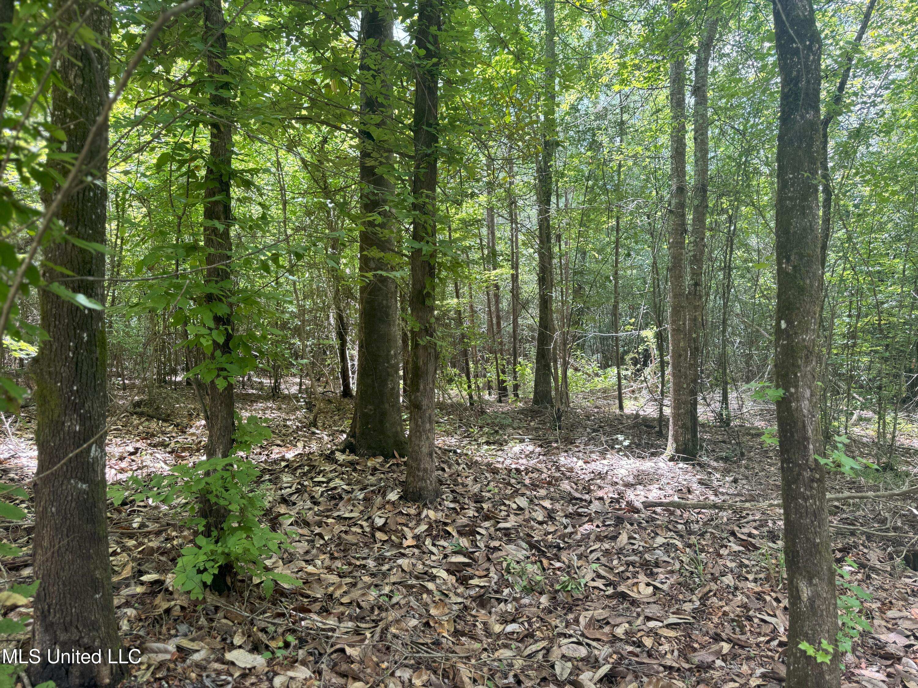 Beltline Drive Brookhaven, MS 39601 - Photo 6 of 26 IMG_5011