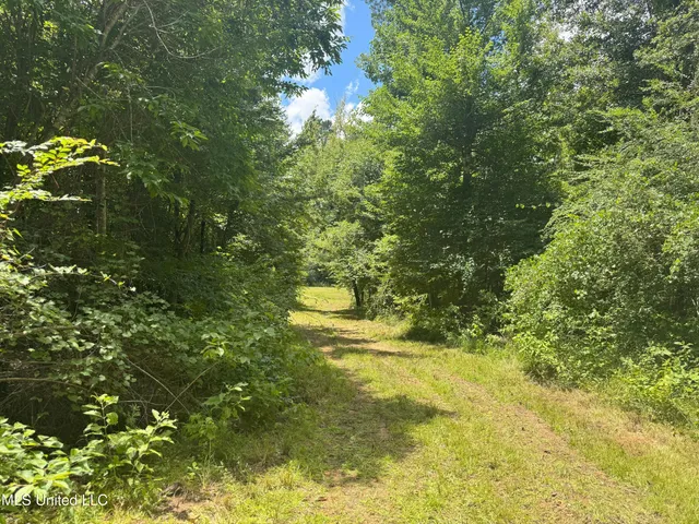 $547,200 | Beltline Drive, Brookhaven, MS 39601