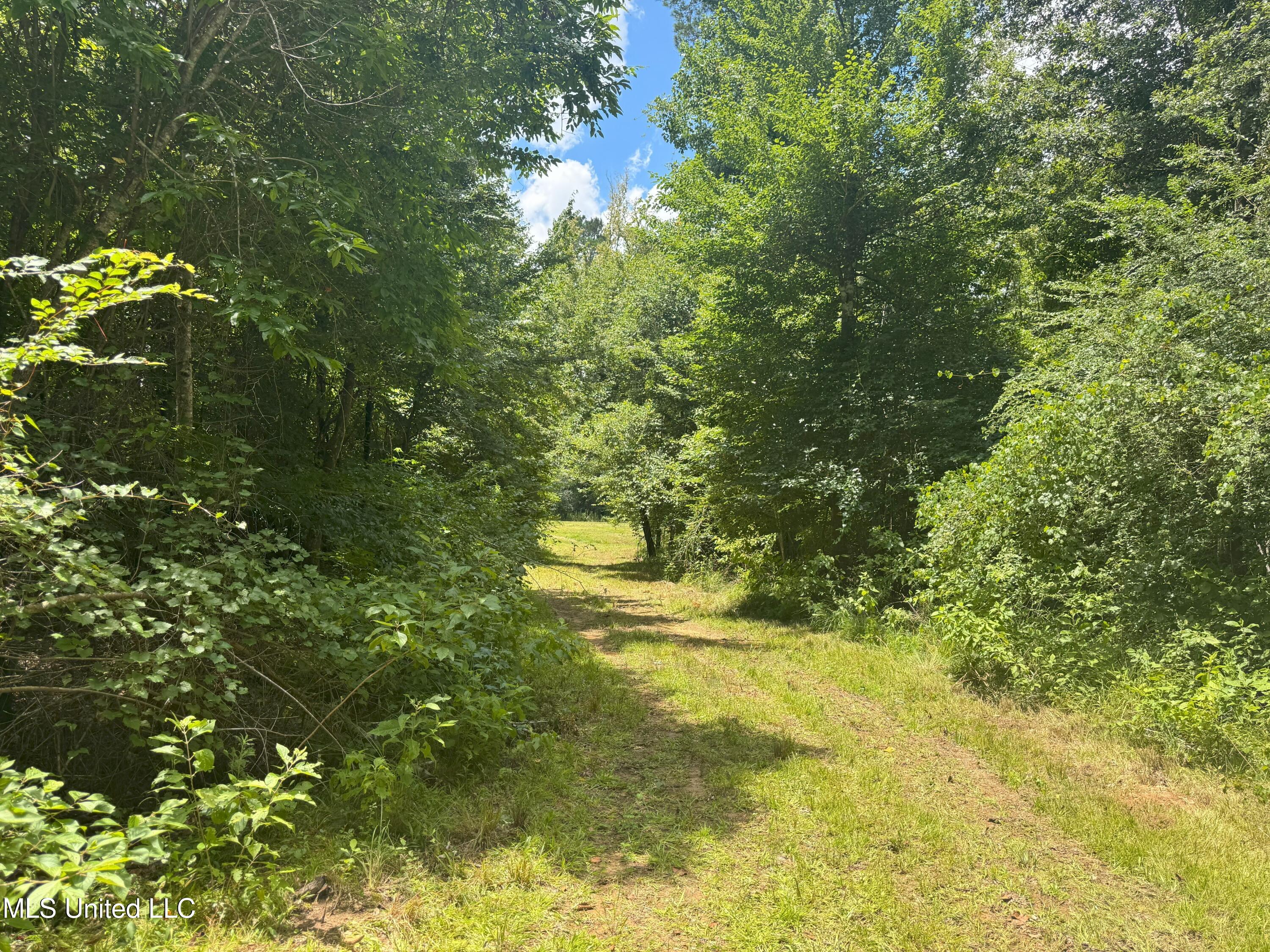 Beltline Drive Brookhaven, MS 39601 - Photo 7 of 26 IMG_5012