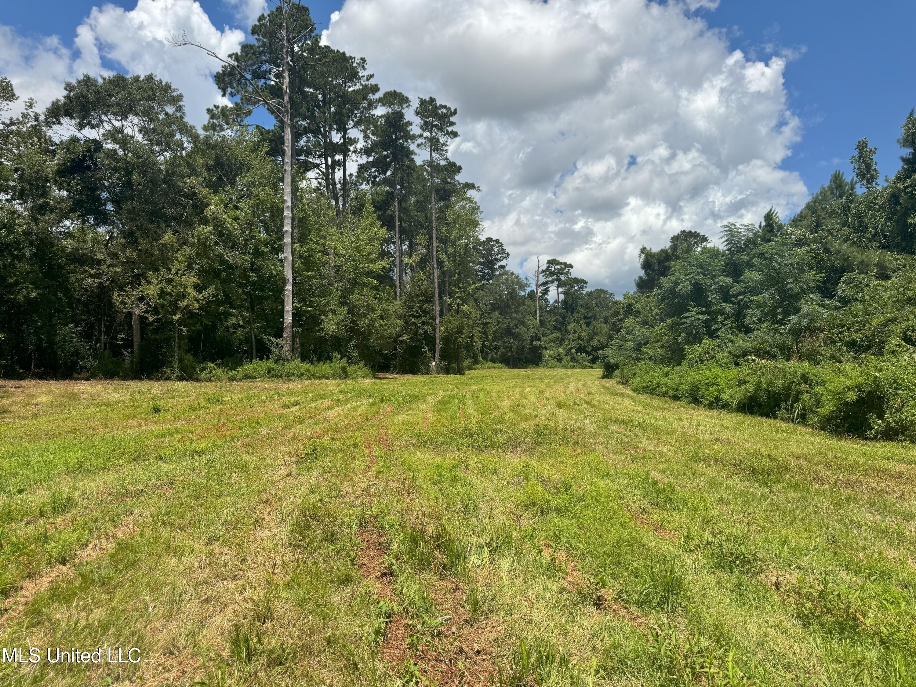Beltline Drive Brookhaven, MS 39601 - Photo 8 of 26 IMG_5014