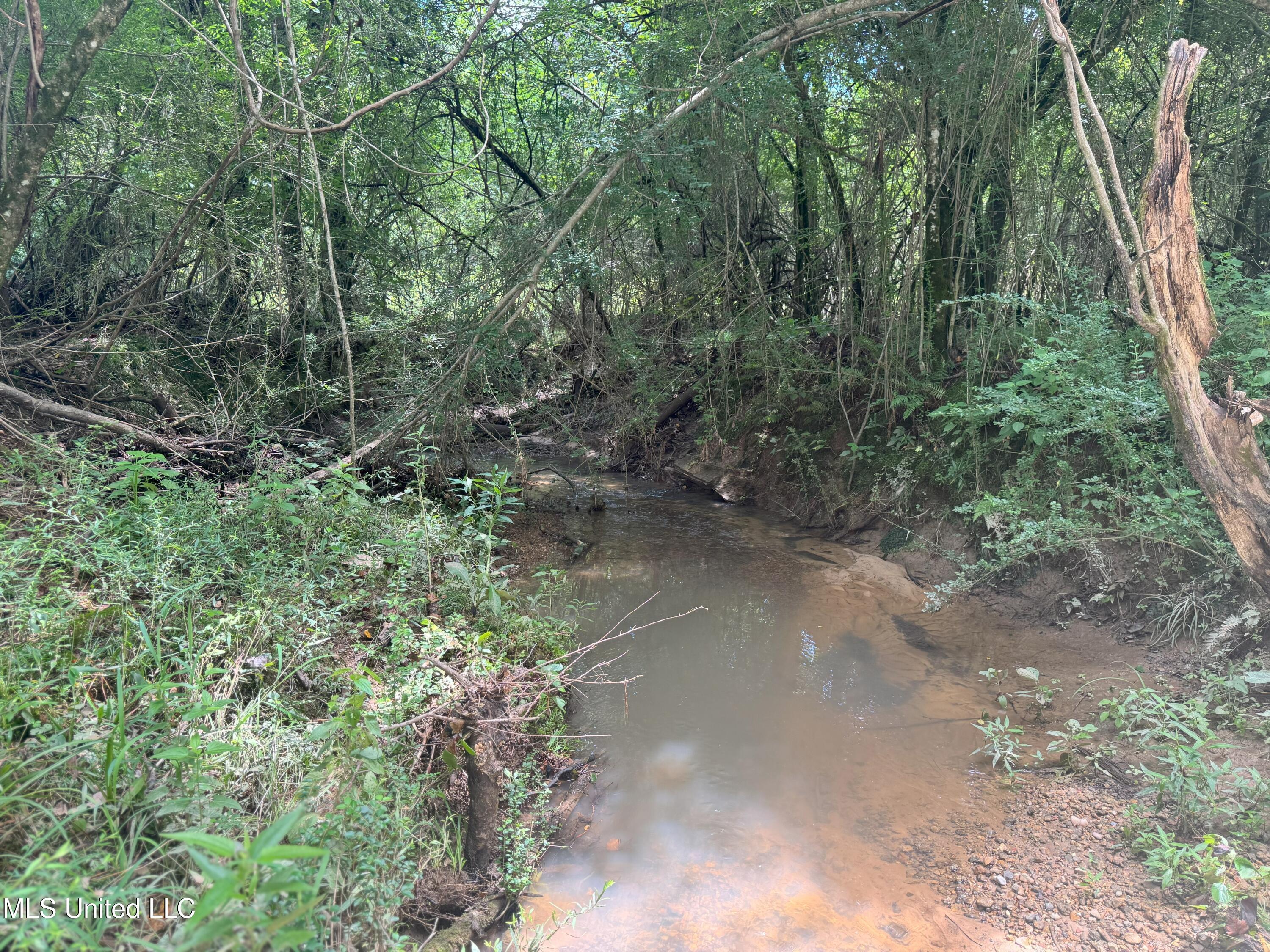 Beltline Drive Brookhaven, MS 39601 - Photo 9 of 26 IMG_5015