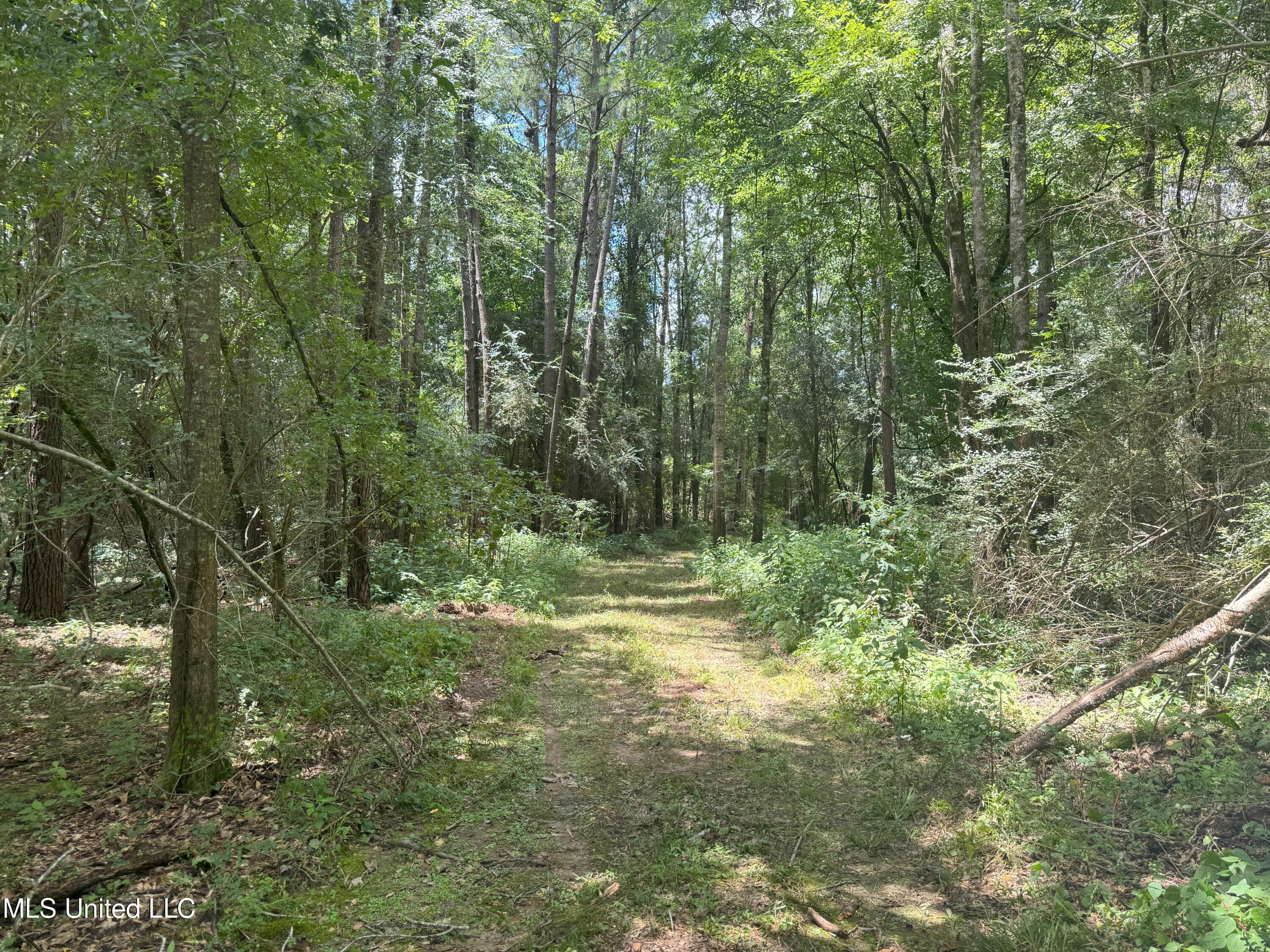 Beltline Drive Brookhaven, MS 39601 - Photo 10 of 26 IMG_5016