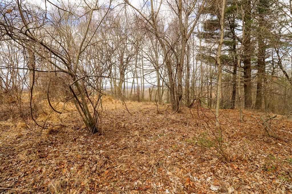 Tbd Tbd Keno Road, Unit 1 Laurel Fork, VA 24352 - Photo 3 of 20 Gallery Image 3