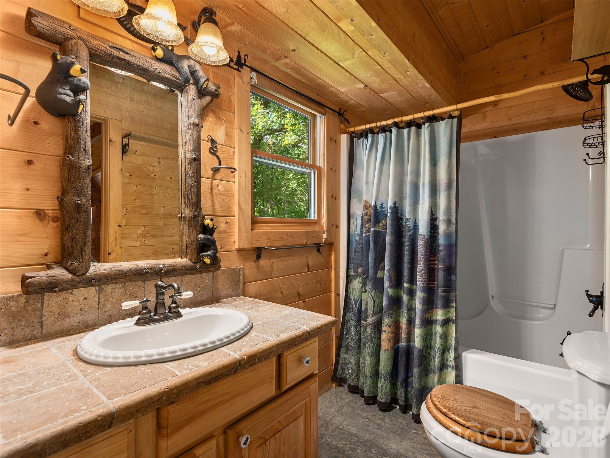 413 Green Hills Road Mill Spring, NC 28756 - Photo 28 of 48 a bathroom with a sink and a mirror