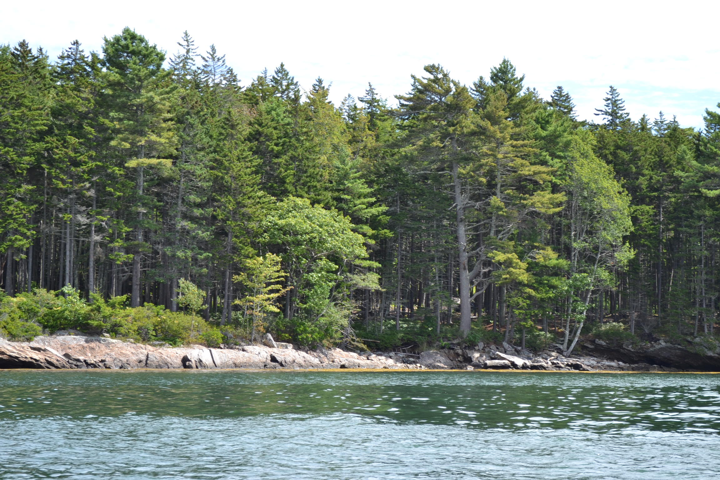0 Pemaquid Harbor Road Pemaquid, ME 04558 - Photo 9 of 16 DSC_0698