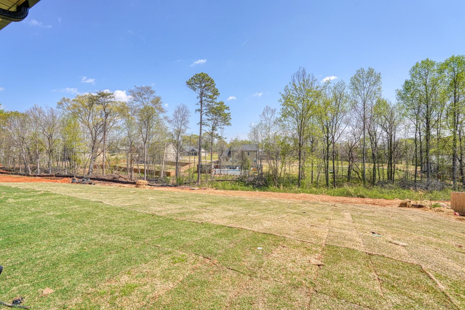753 Ruby Golightly Drive Inman, SC 29349 - Photo 20 of 20