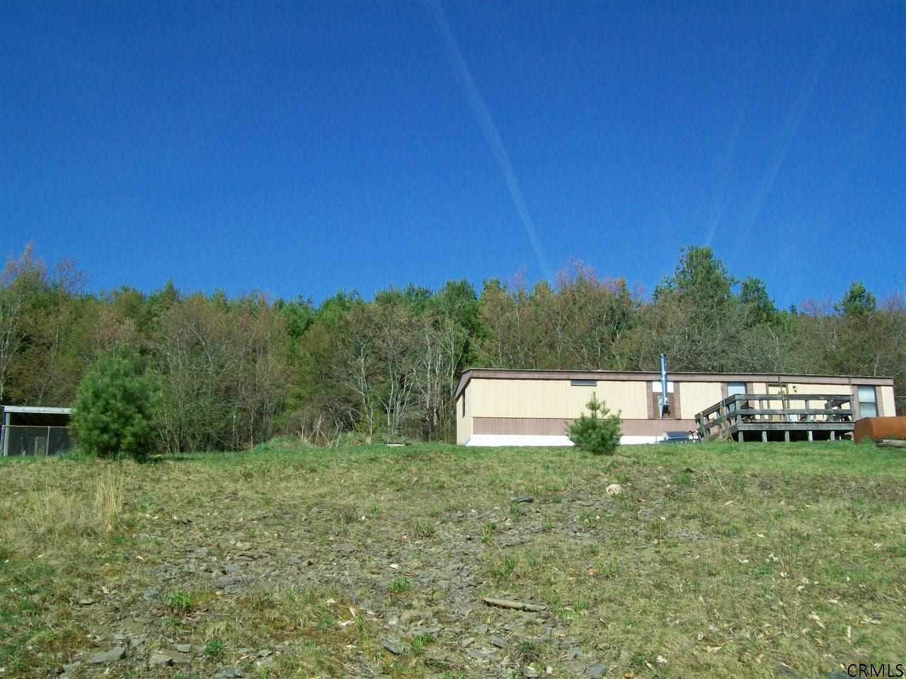 1303 Lutheranville Road Summit, NY 12064 - Photo 1 of 16 Photo 1