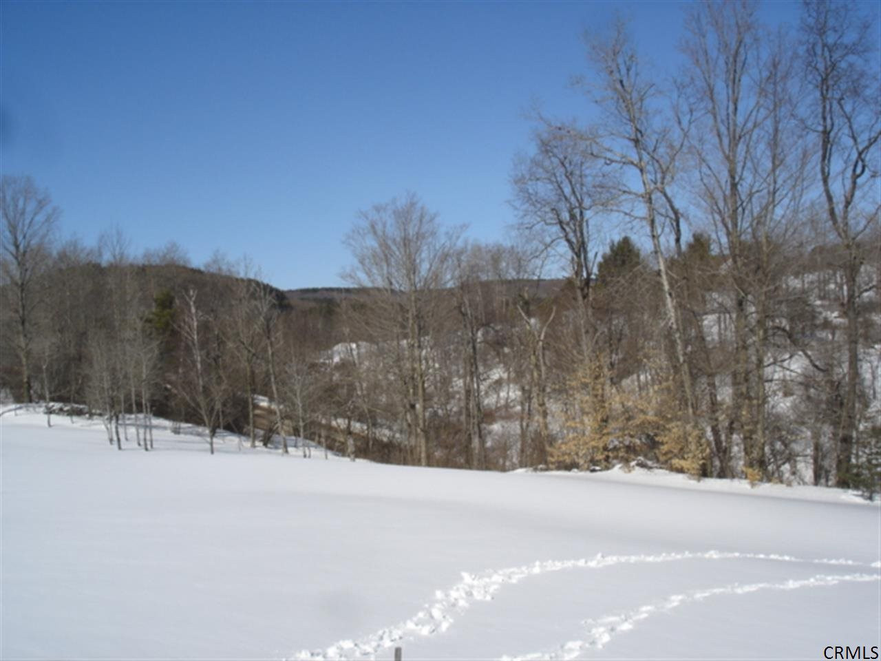 1303 Lutheranville Road Summit, NY 12064 - Photo 12 of 16 Photo 12