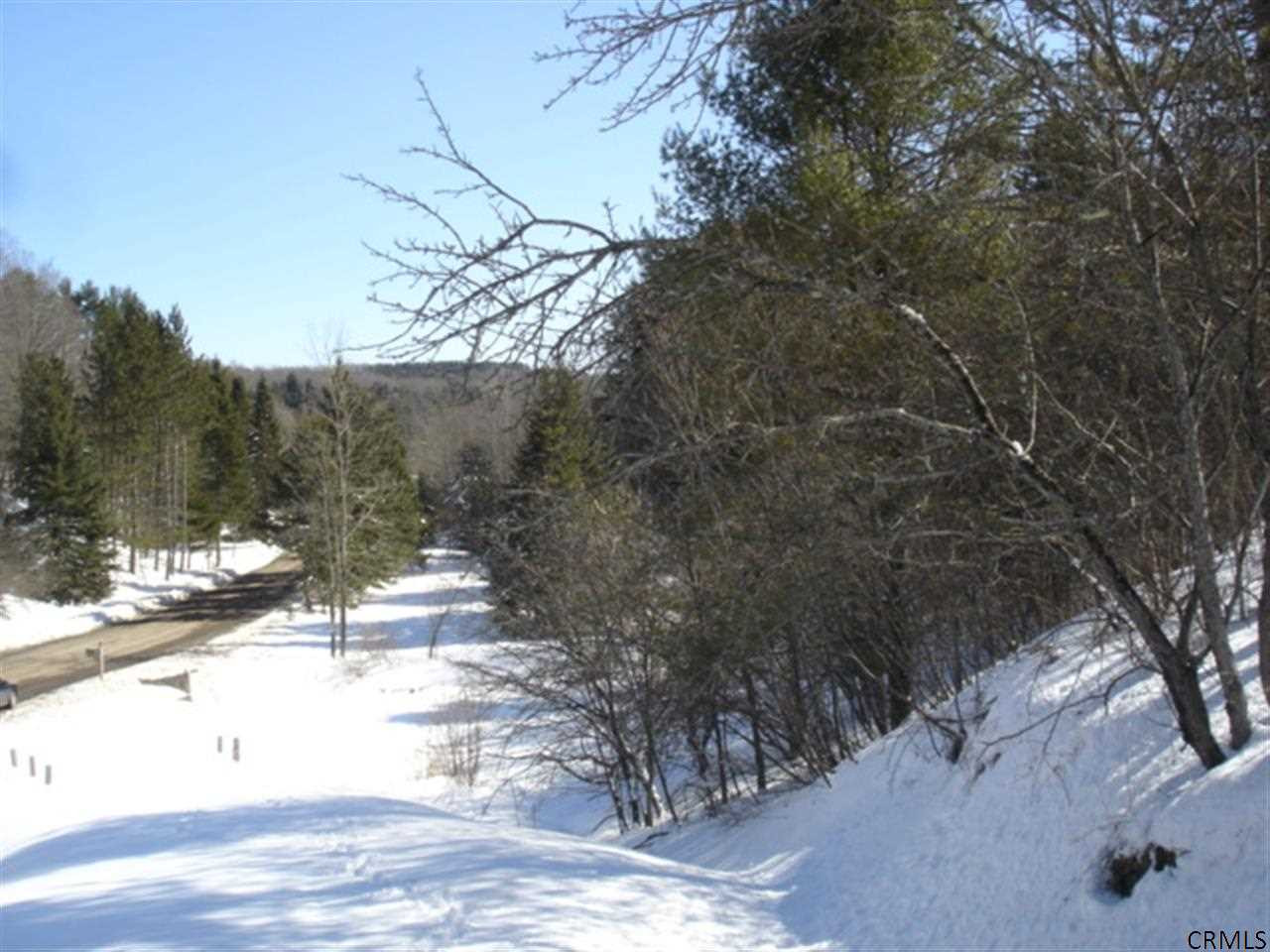 1303 Lutheranville Road Summit, NY 12064 - Photo 13 of 16 Photo 13