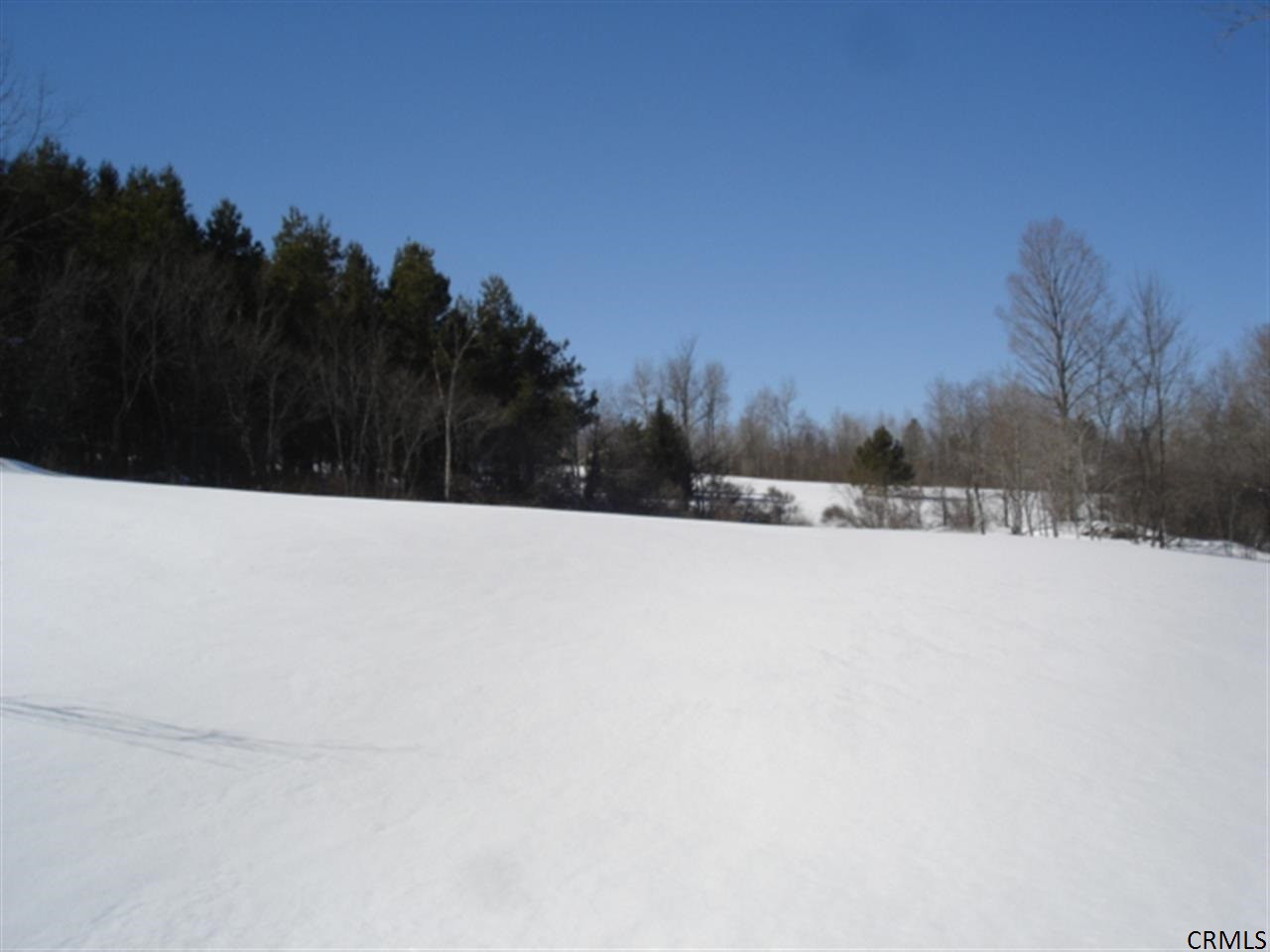 1303 Lutheranville Road Summit, NY 12064 - Photo 15 of 16 Photo 15