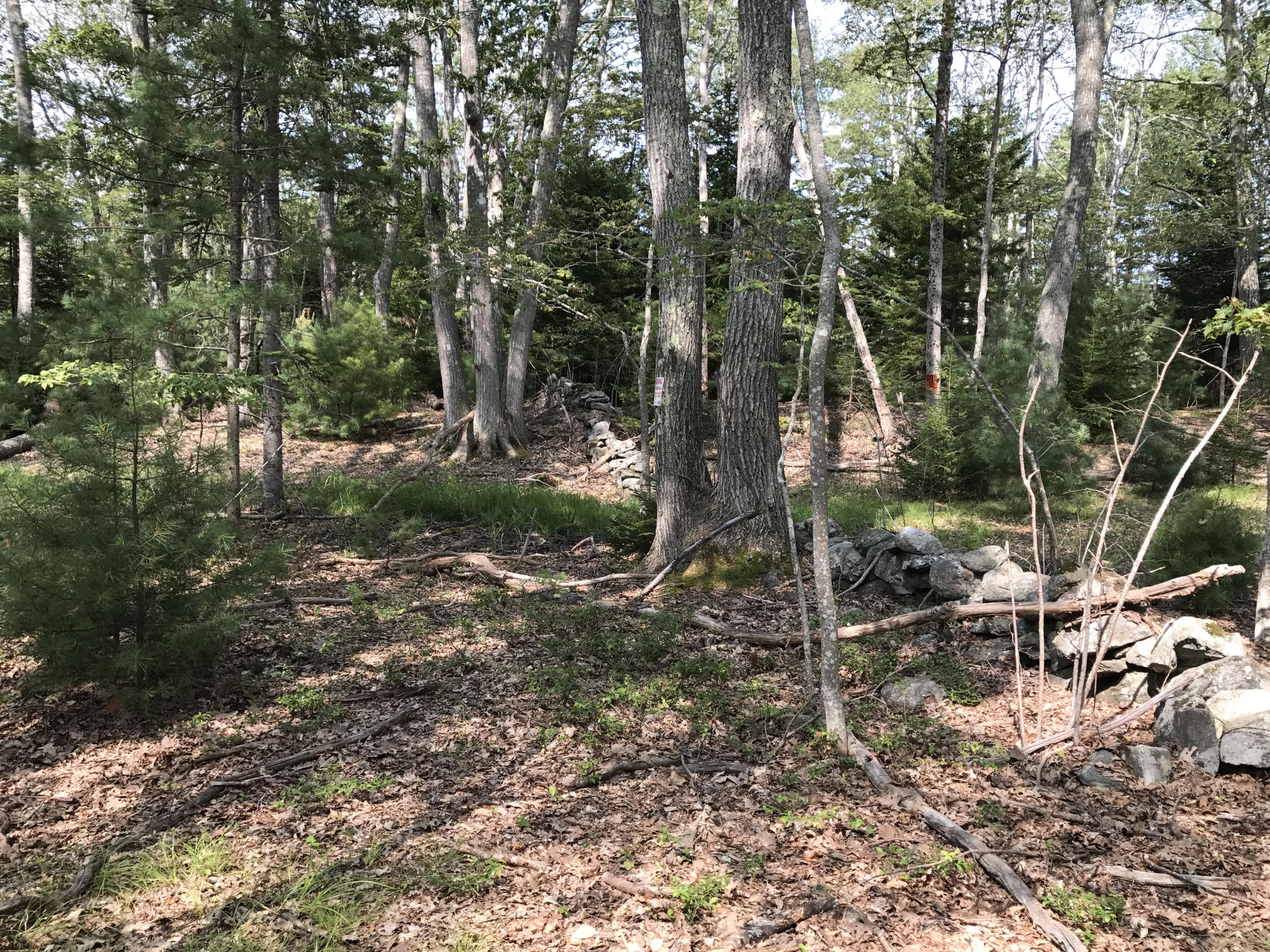 0 Long Point Road Harpswell, ME 04079 - Photo 10 of 19 IMG_3504