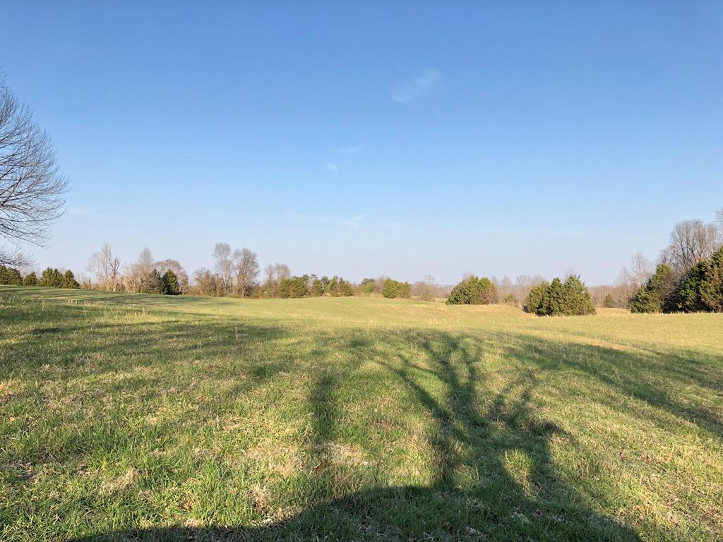 950 Johnney Harvey Road Breeding, KY 42715 - Photo 2 of 26 Gallery Image 2
