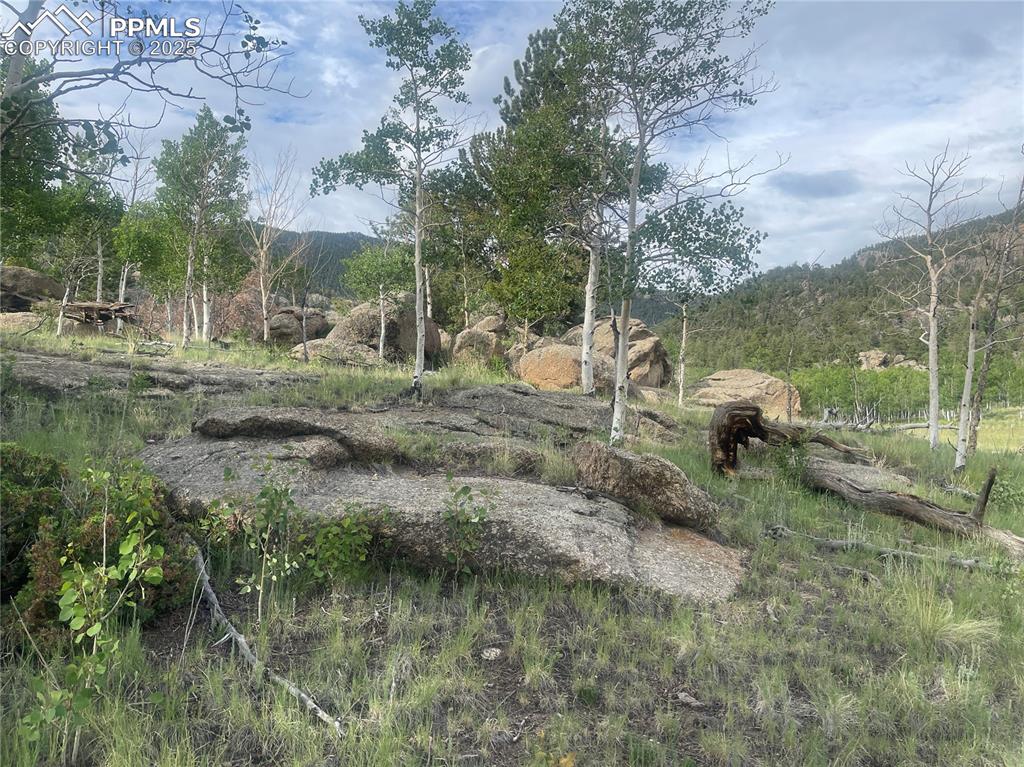 170 Emerald Way Lake George, CO 80827 - Photo 2 of 6 a view of a wooden house with a yard
