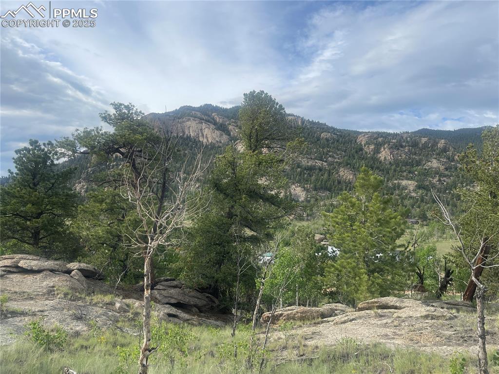 170 Emerald Way Lake George, CO 80827 - Photo 4 of 6