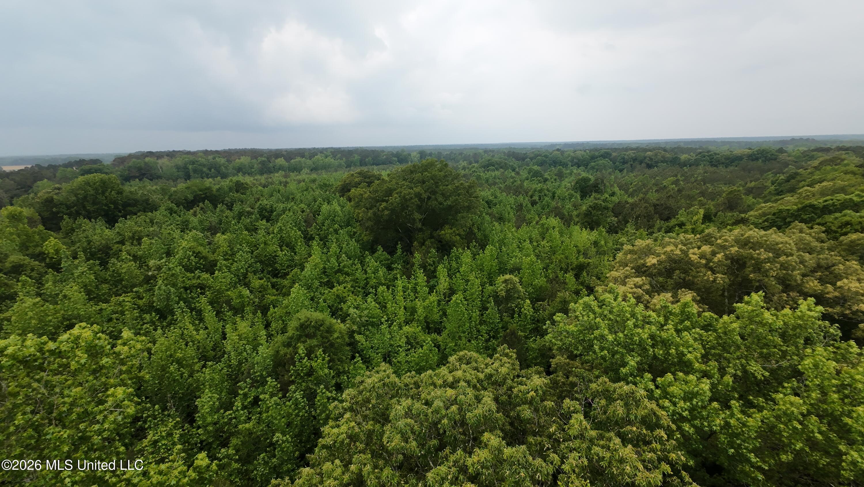 6936 Hillsboro-Ludlow Road Forest, MS 39074 - Photo 17 of 22 DJI_20260429131735_0146_D