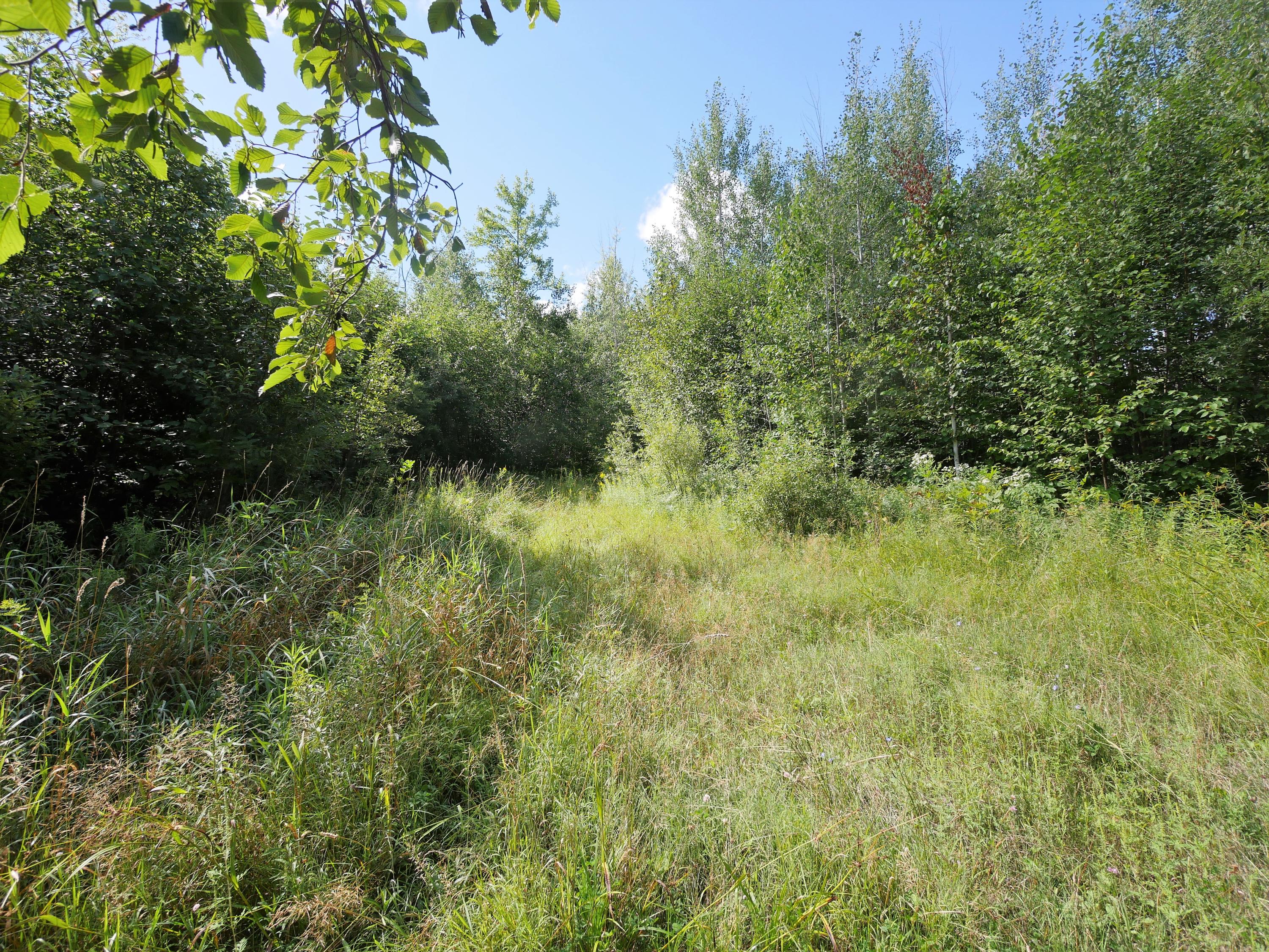 Friski Road Lachine, MI 49753 - Photo 28 of 29 Gallery Image 28