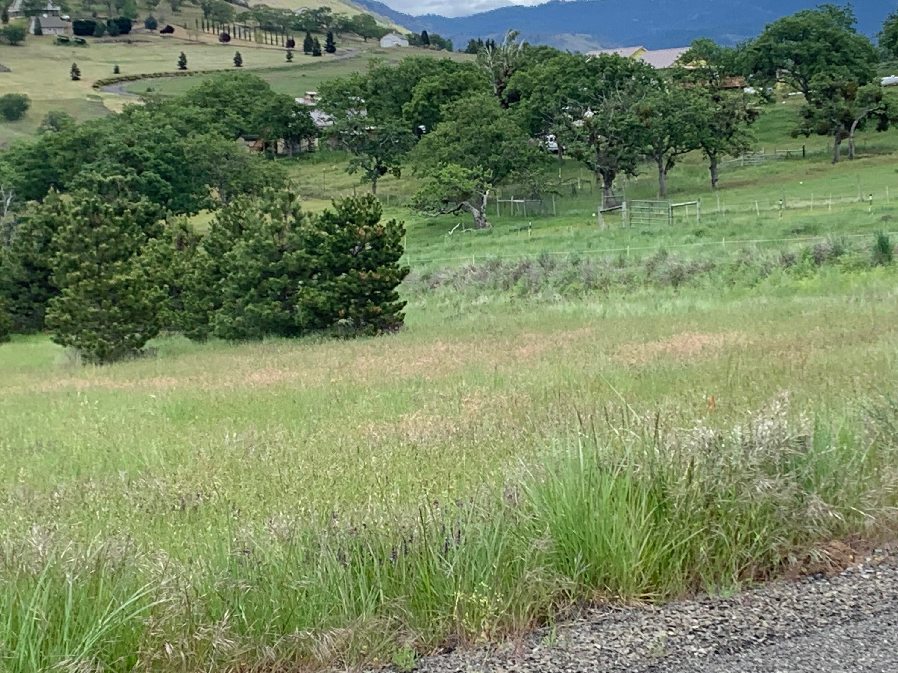 11052 Corp Ranch Road Ashland, OR 97520 - Photo 12 of 18 IMG_2972