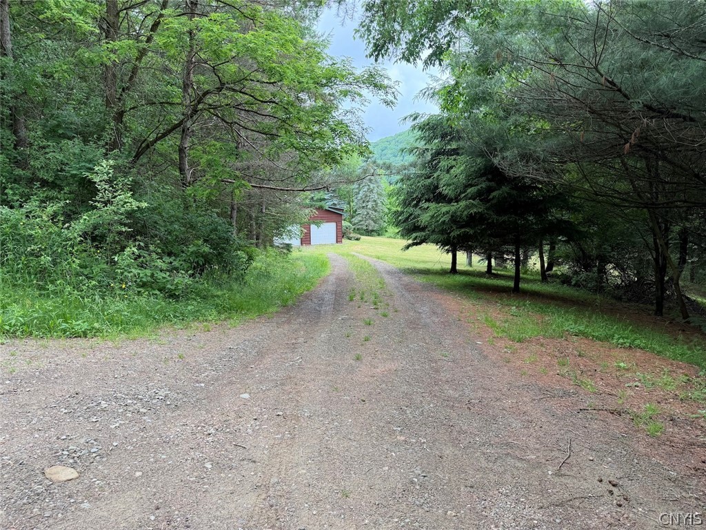 3773 Haskell Vly Vw Road Clarksville, NY 14727 - Photo 49 of 50