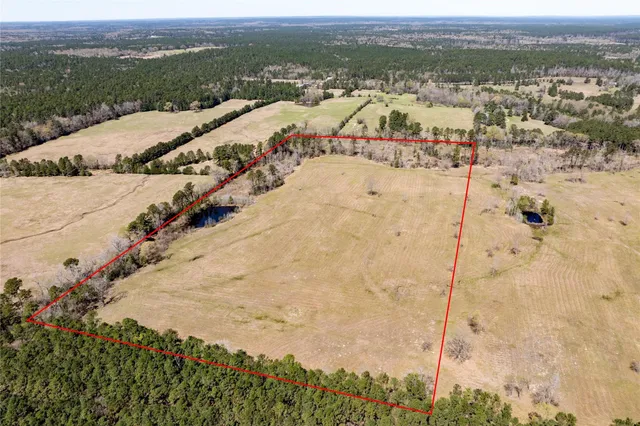 $600,000 | 4600 County Road 4600, Kennard, TX 75847
