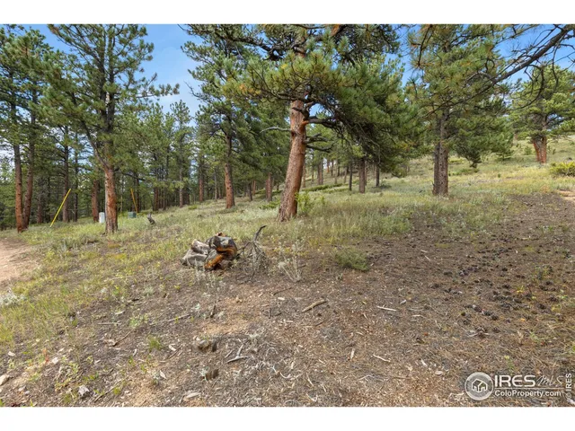 a view of a tree in a yard