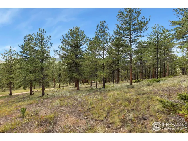 a view of outdoor space with trees