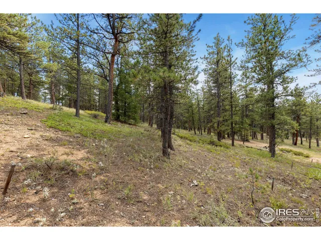 a view of outdoor space with trees all around