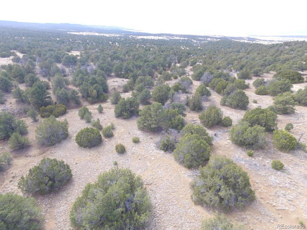 111 River Ridge Ranch Walsenburg, CO 81089 - Photo 9 of 19 Gallery Image 9