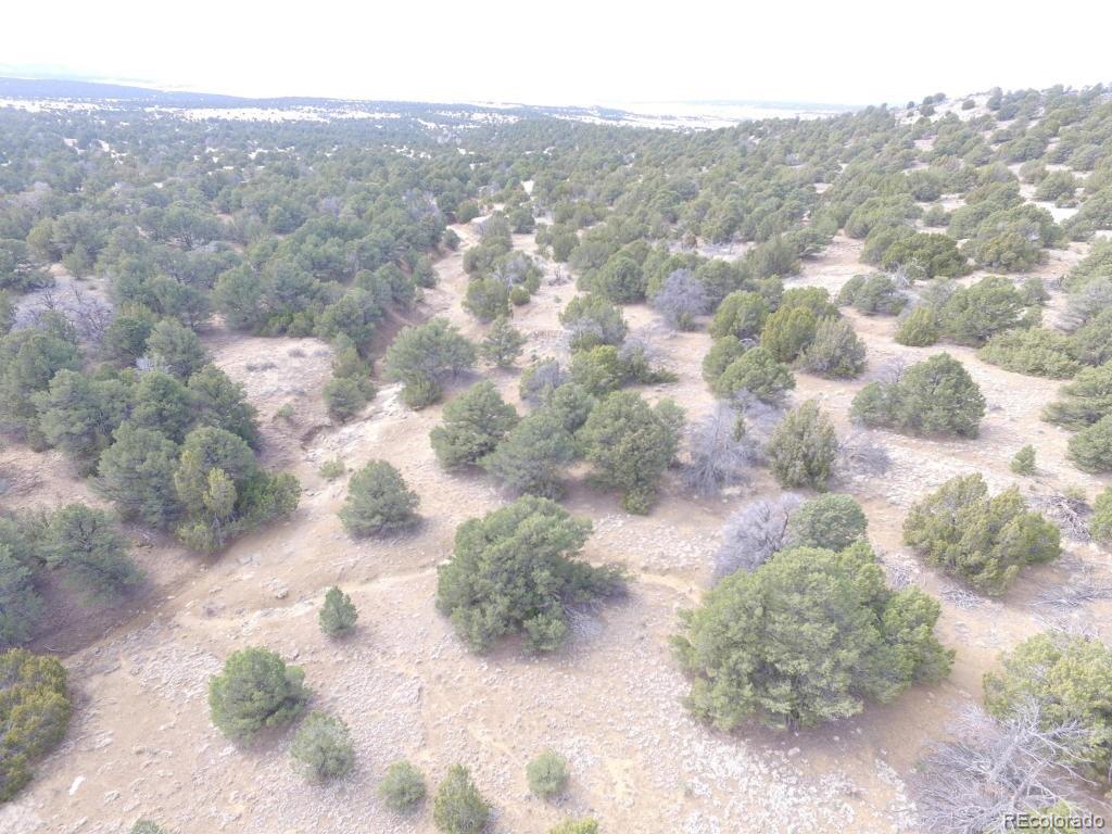 111 River Ridge Ranch Walsenburg, CO 81089 - Photo 10 of 19 Gallery Image 10