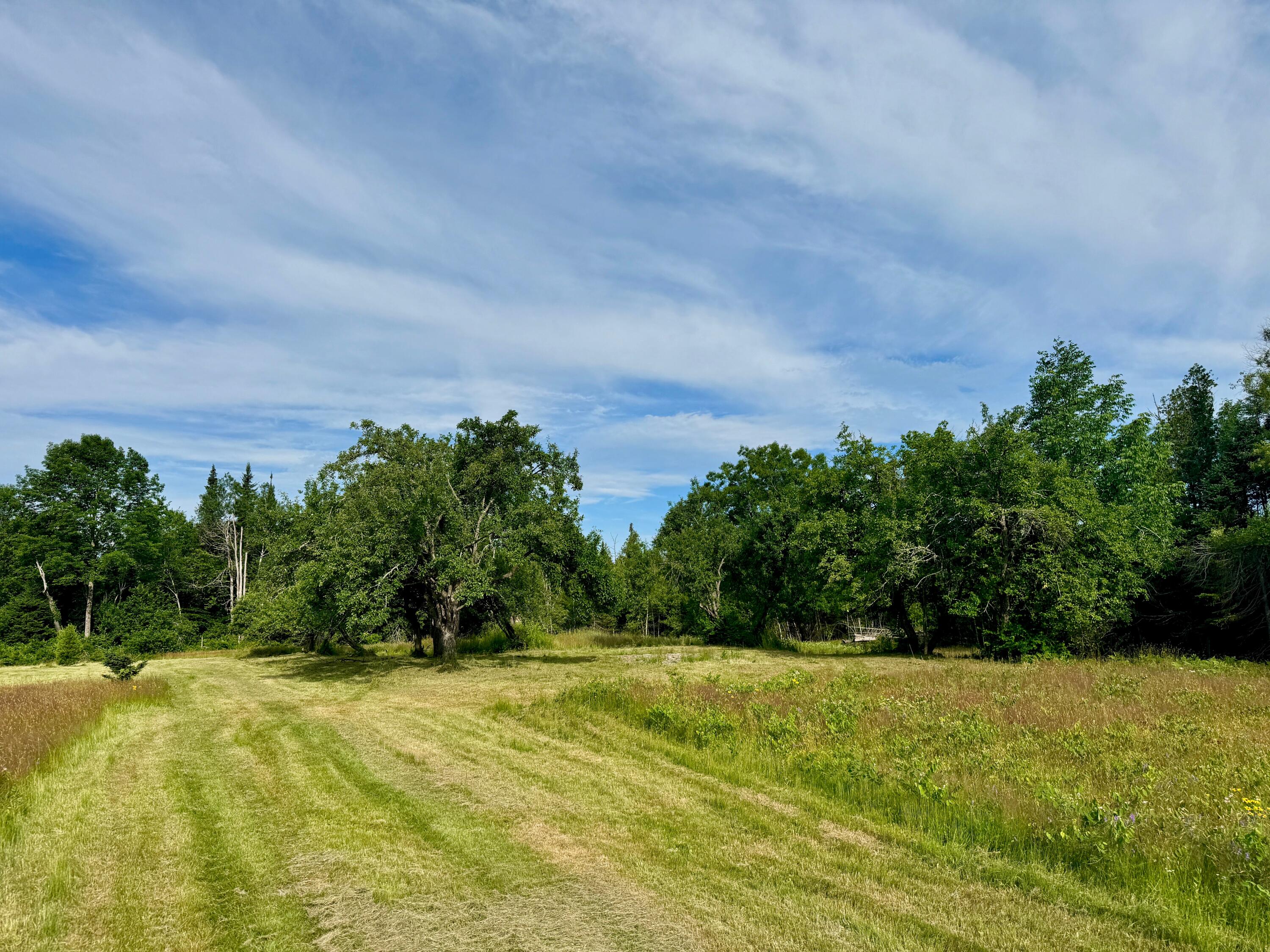 Lot #37 Hewitt Road Dover-Foxcroft, ME 04426 - Photo 3 of 13 IMG_9223