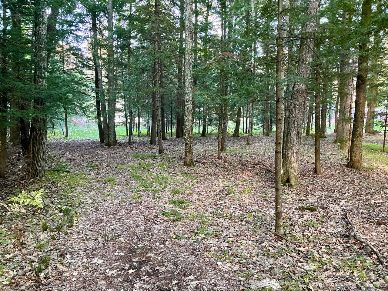 On On Shore Road Pelican Lake, WI 54463 - Photo 24 of 24 Gallery Image 24