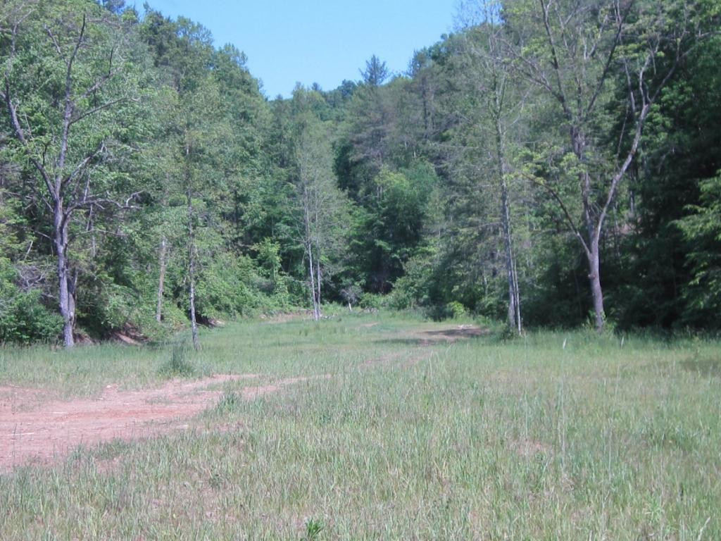0 Green Spring Road Abingdon, VA 24211 - Photo 1 of 4 Photo 1