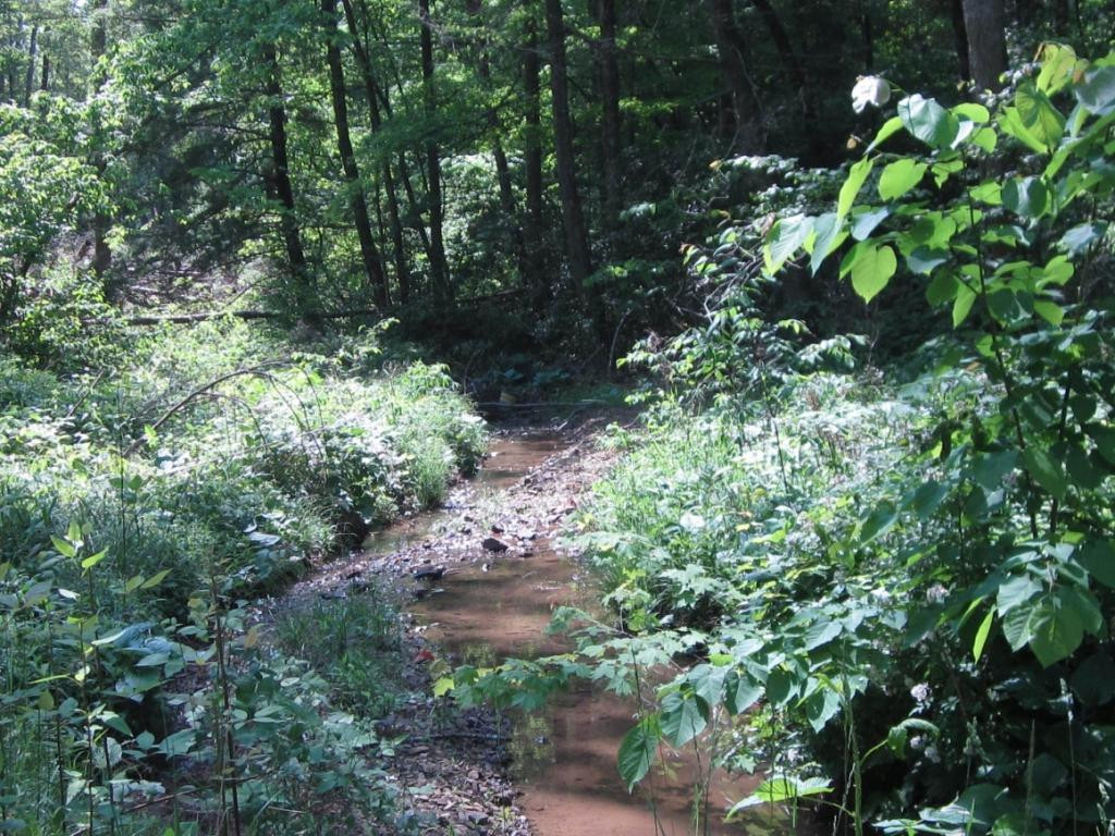 0 Green Spring Road Abingdon, VA 24211 - Photo 3 of 4 Photo 3