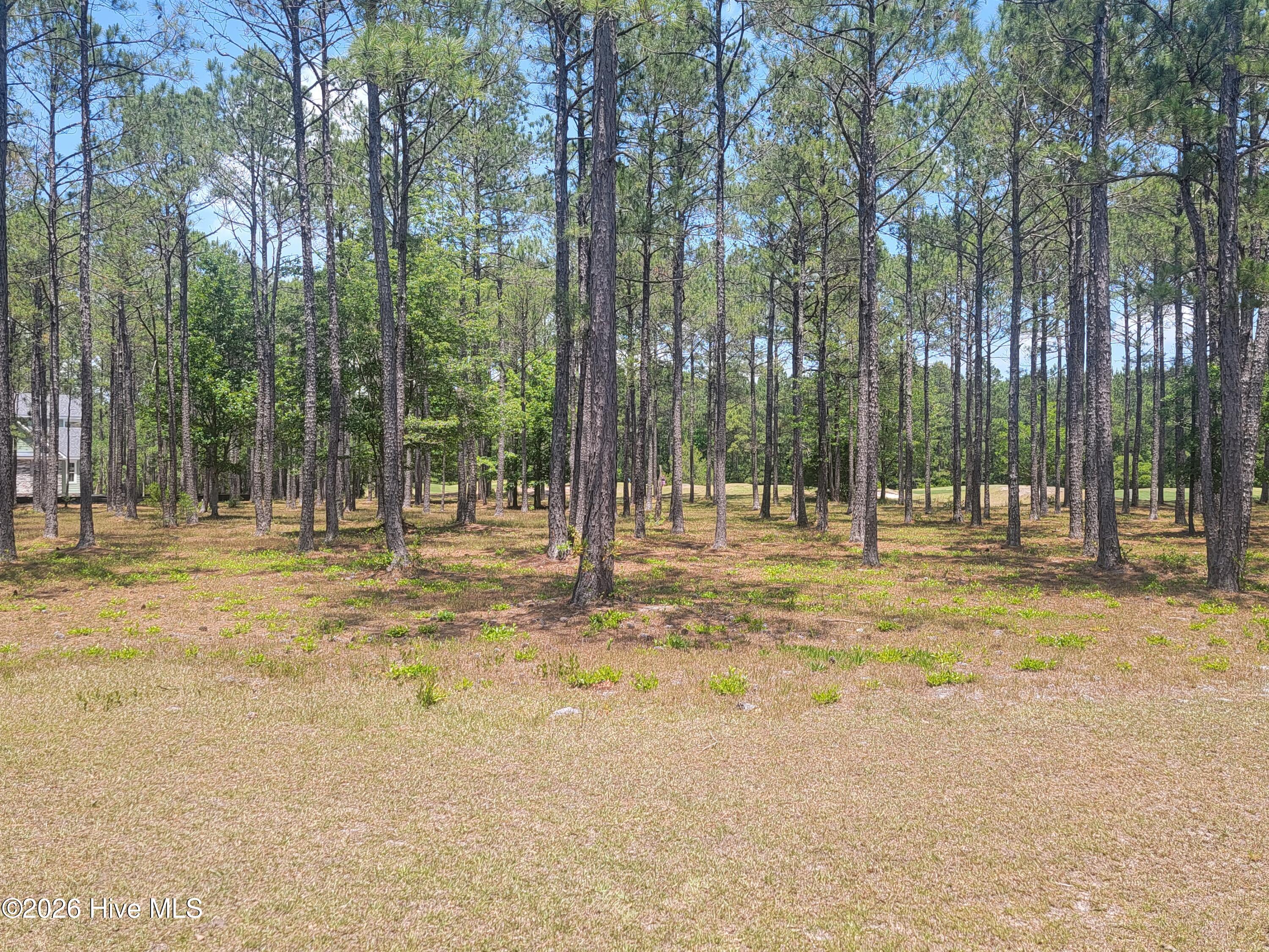 6548 Stonley Circle Southwest Ocean Isle Beach, NC 28469 - Photo 2 of 27 1000033602