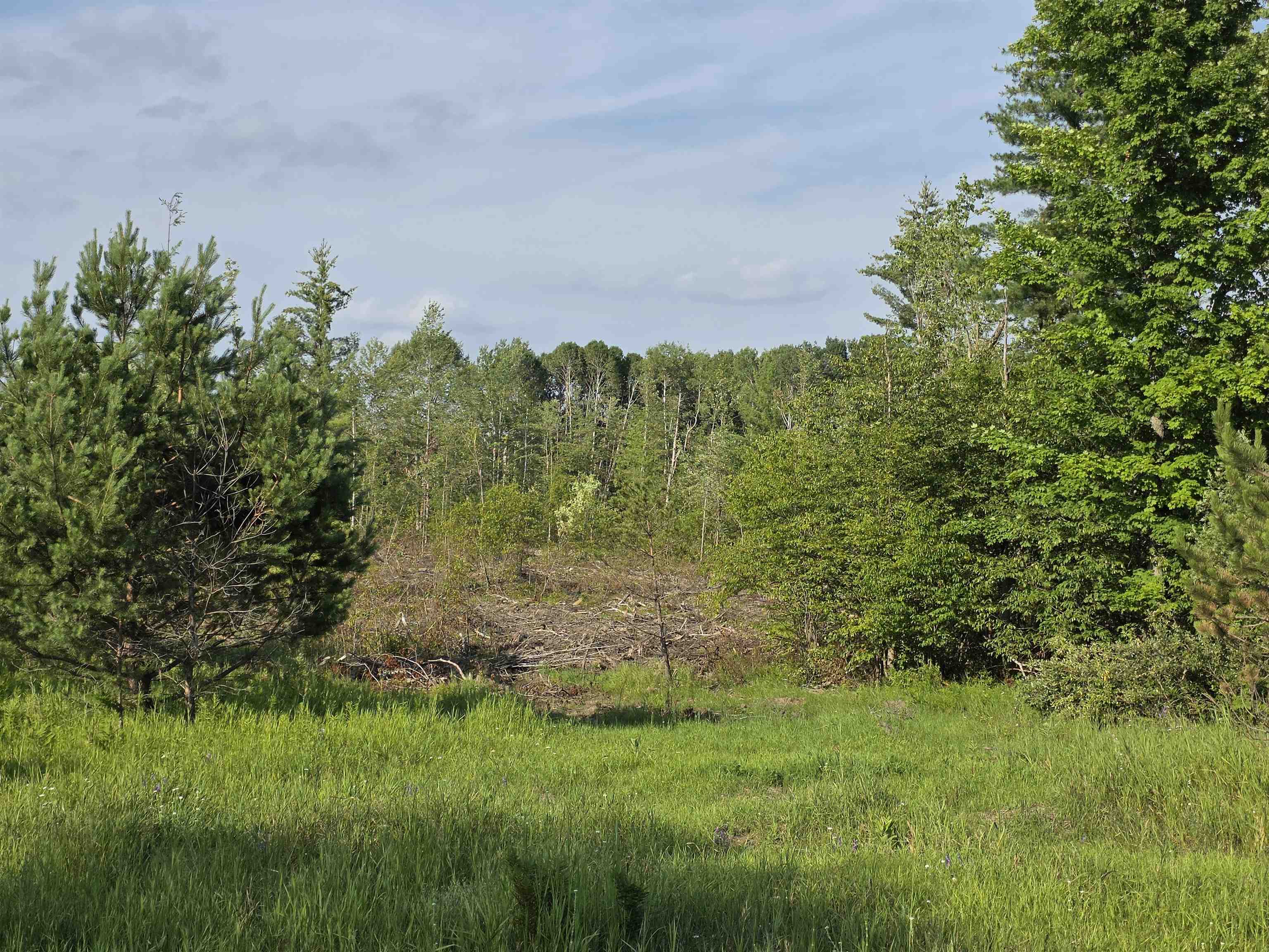 0 Arnold Road Manton, MI 49663 - Photo 32 of 63