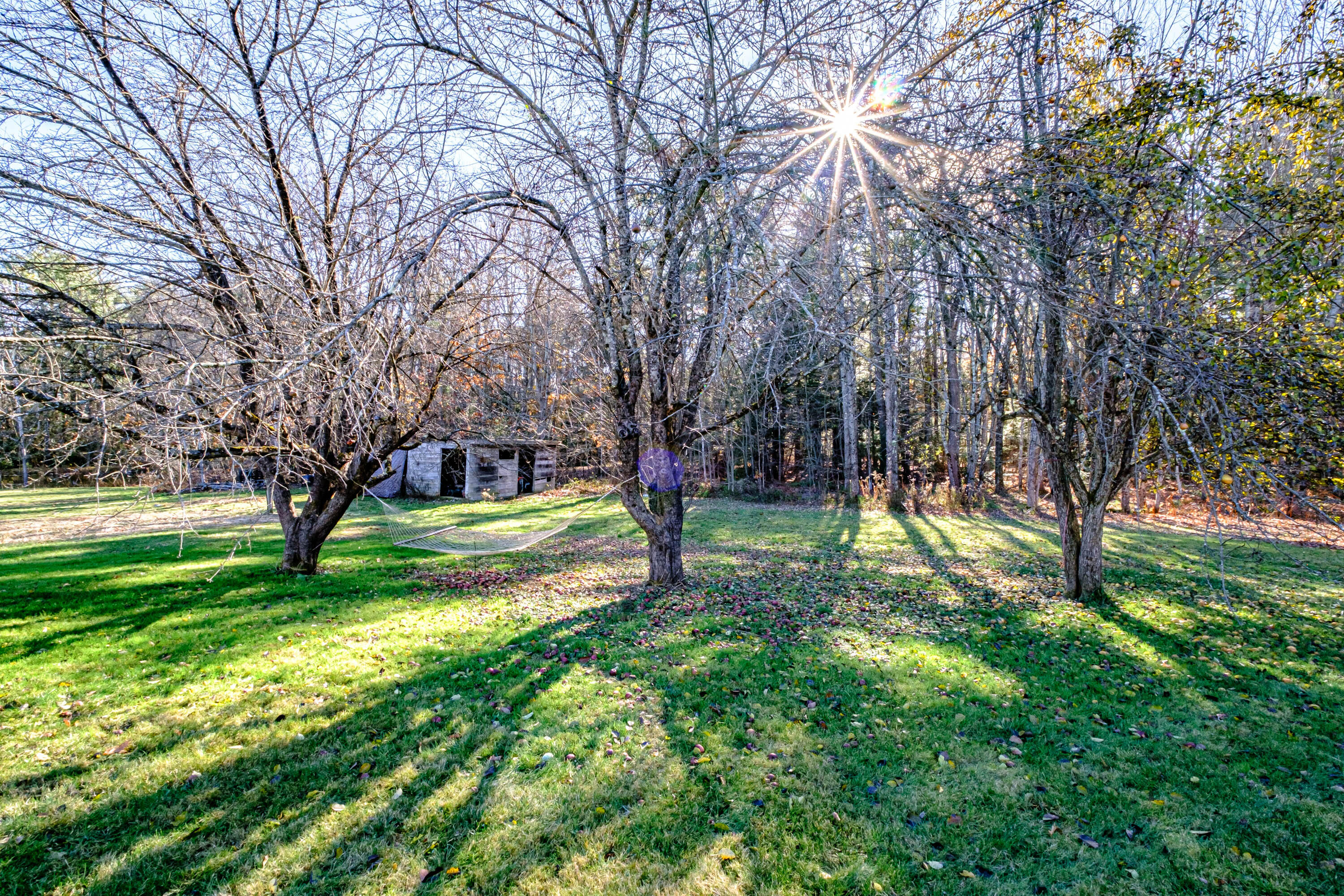 77 Tapley Road Saco, ME 04072 - Photo 38 of 40 20231120gp-62012