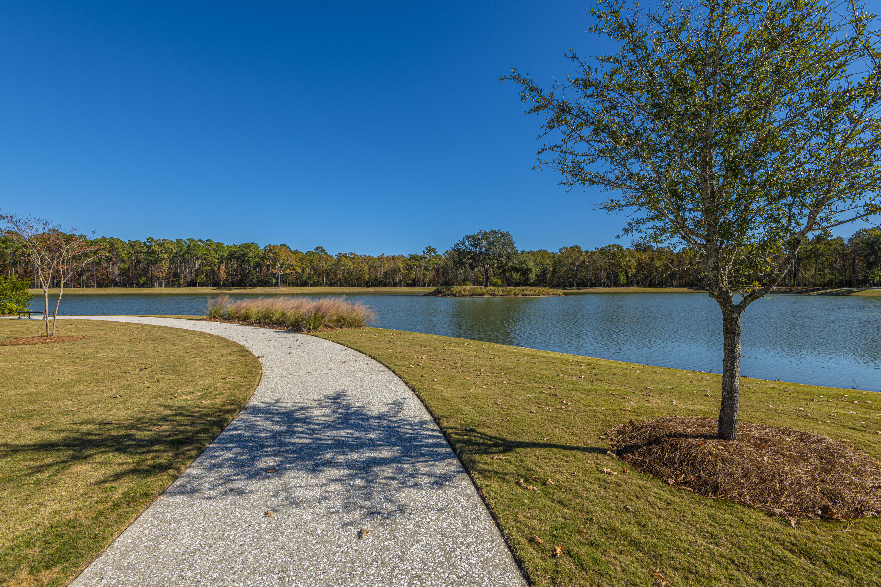 1477 Croaton Crsg Mount Pleasant, SC 29466 - Photo 72 of 79 DSC_0354