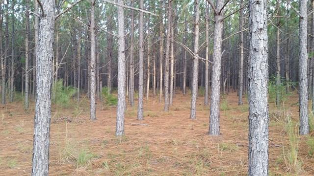 3 Glen Lawrence Road Dothan, AL 36303 - Photo 1 of 1