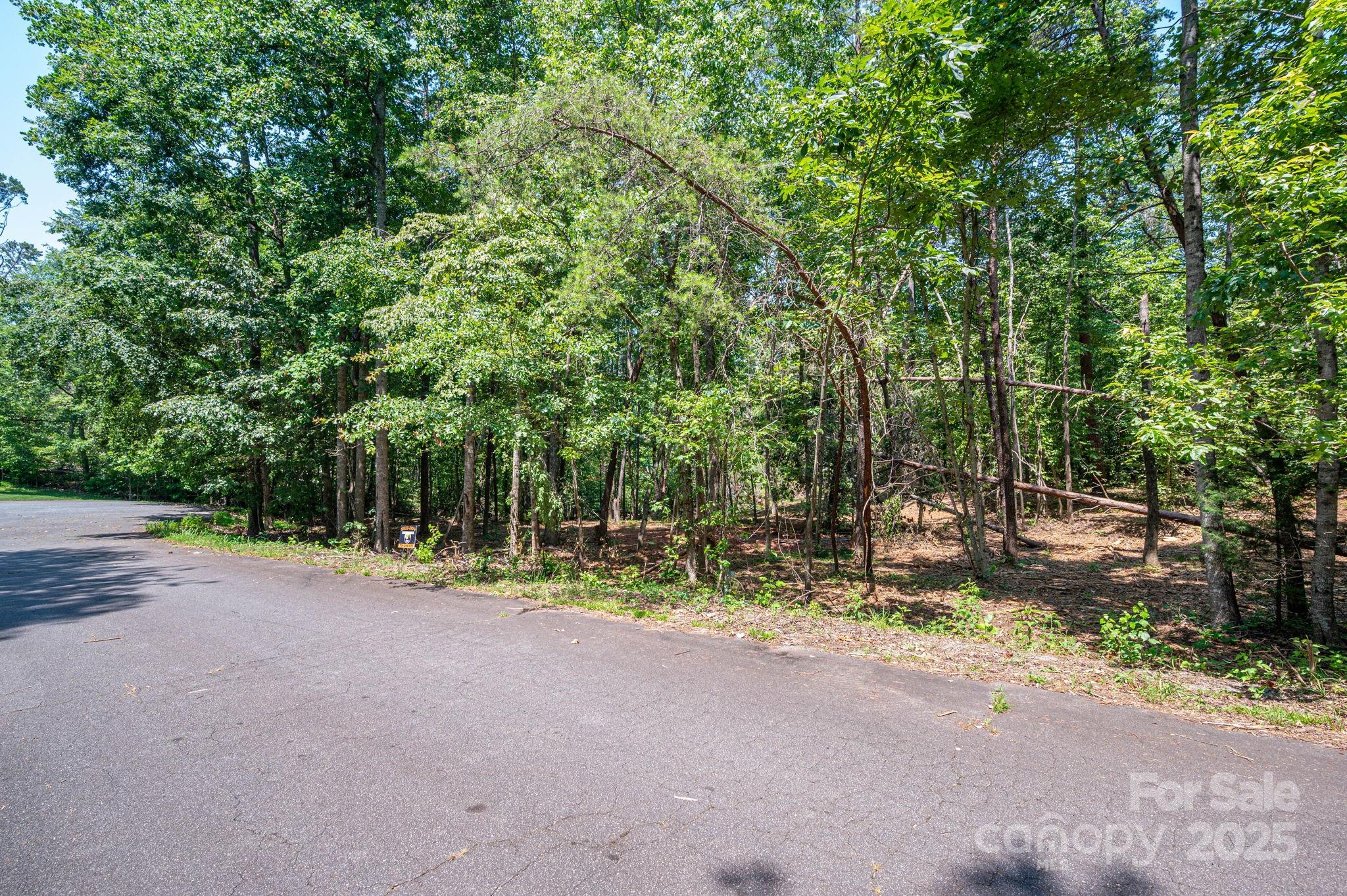 Lot 5 Annapolis Court Rutherfordton, NC 28139 - Photo 8 of 27