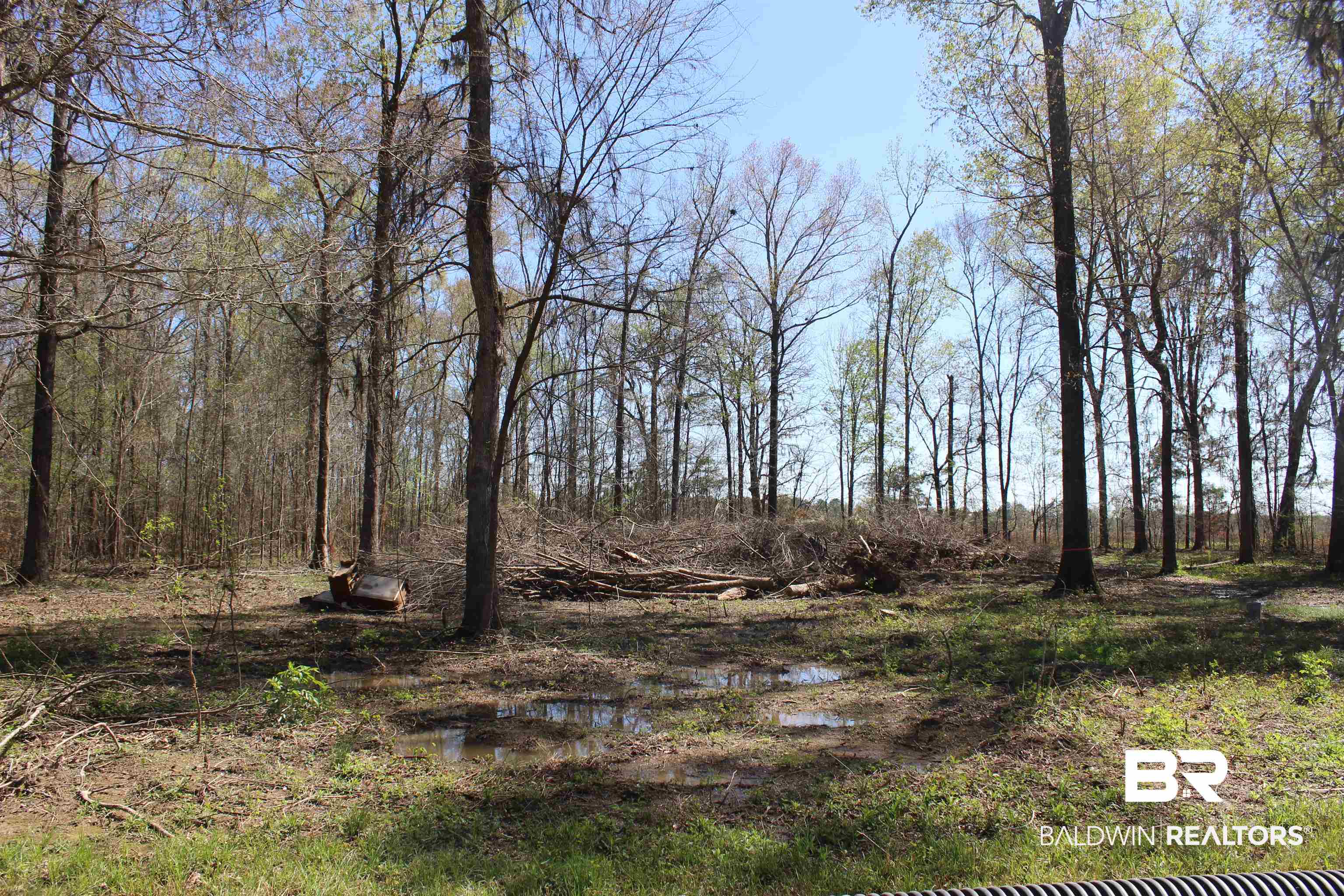 Heron Point Drive Lowndesboro, AL 36752 - Photo 1 of 2 View of undeveloped land