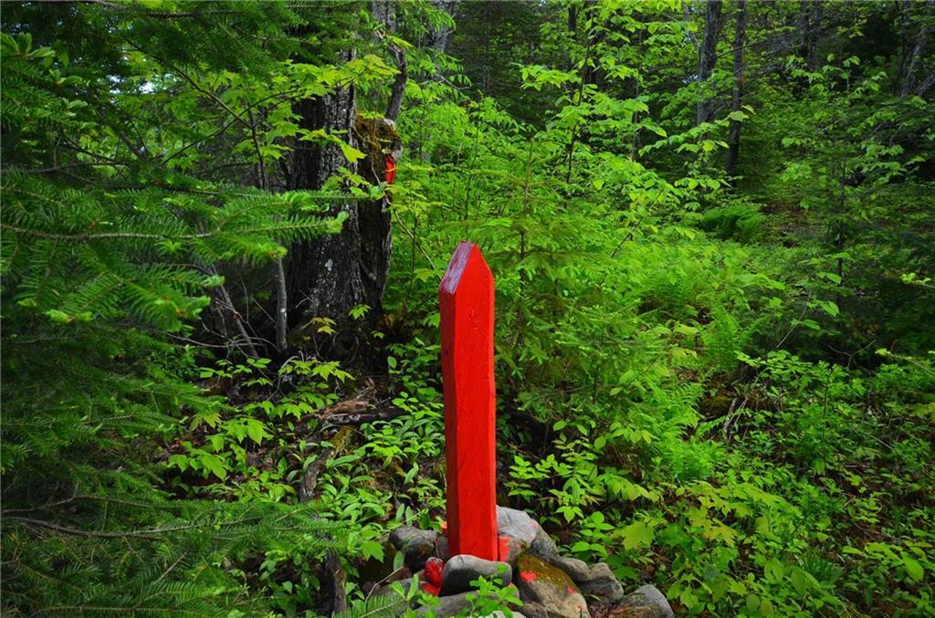 0 Graham Road Smyrna Mills, ME 04780 - Photo 2 of 14 Boundary line
