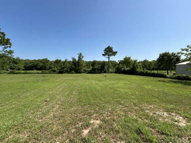 101 Smiley Rd Crossing Angleton, TX 77515 - Photo 8 of 18 Gallery Image 8