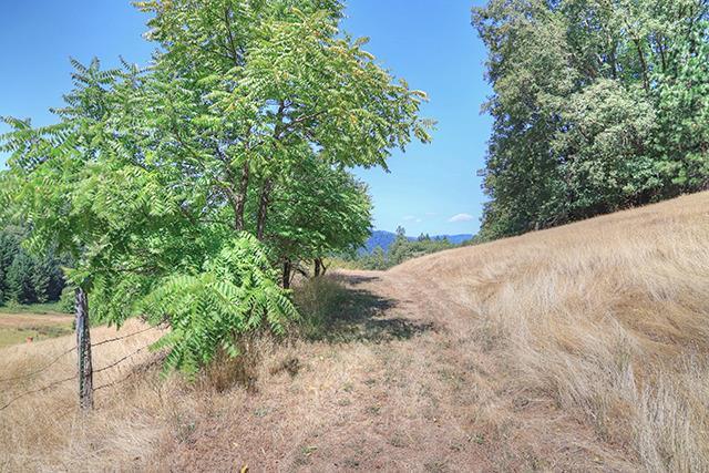 10527 Lower River Road Grants Pass, OR 97526 - Photo 20 of 31 Additional Photo
