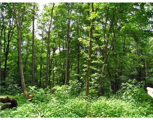 447 Narigon Run Road Claysville, PA 15323 - Photo 14 of 14 Land/Lot.