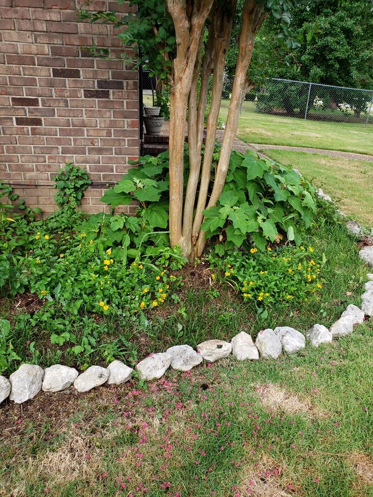 4515 Ritch Haven Road Columbus, GA 31909 - Photo 5 of 28 Gallery Image 5