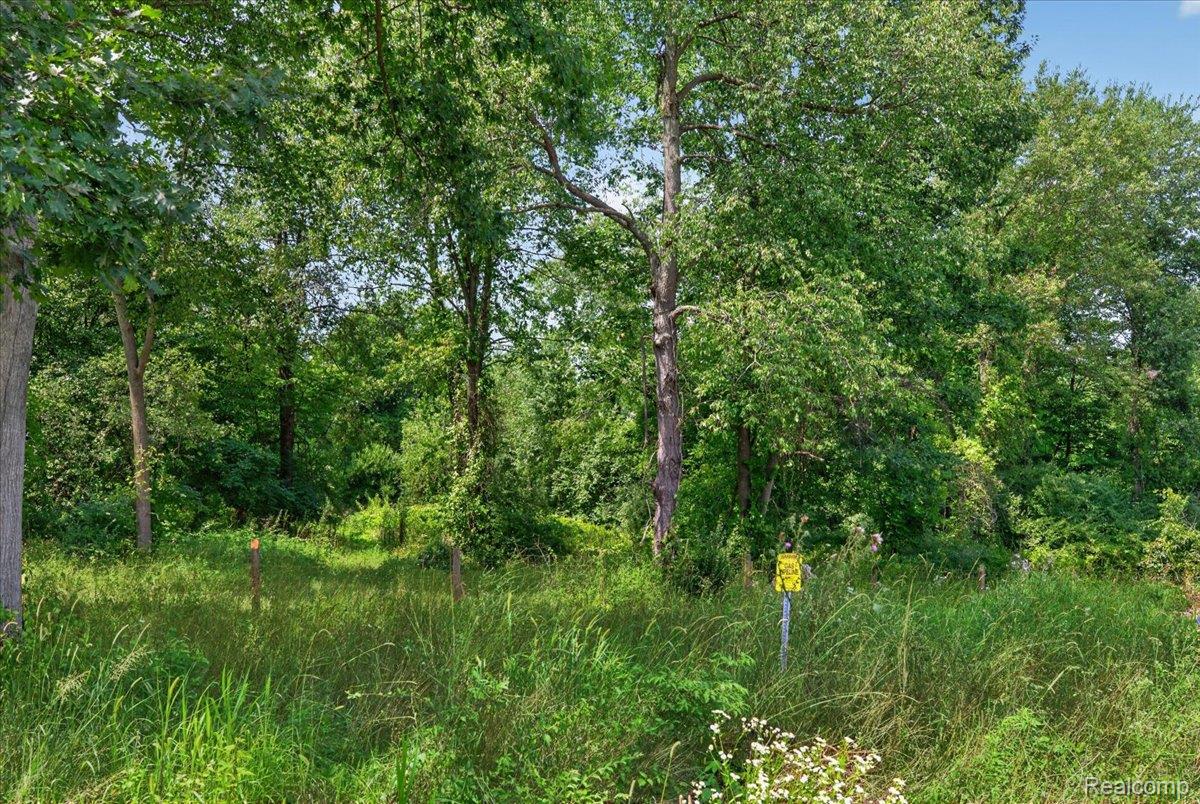 5000 Metamora Ridge Road Metamora, MI 48455 - Photo 23 of 23 15-2026.08.10_Acloutier_5000-5005Metamoraridge410.jpg