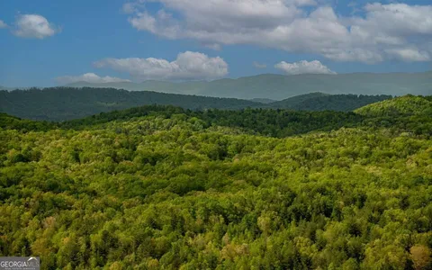 a view of a green field with lots of green space