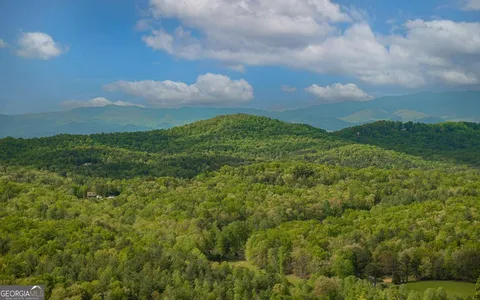a view of a bunch of trees in a field