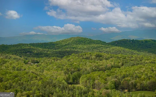 a view of a bunch of trees in a field